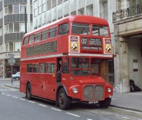 Photo by John Scragg